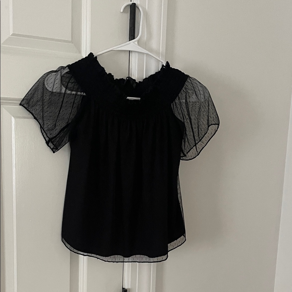 ZARA Black Sheer  Sleeve Blouse